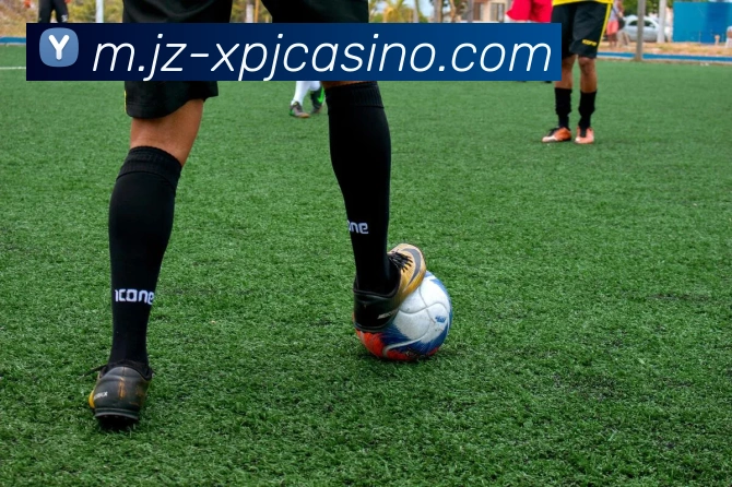 澳门新葡京娱乐平台生态图